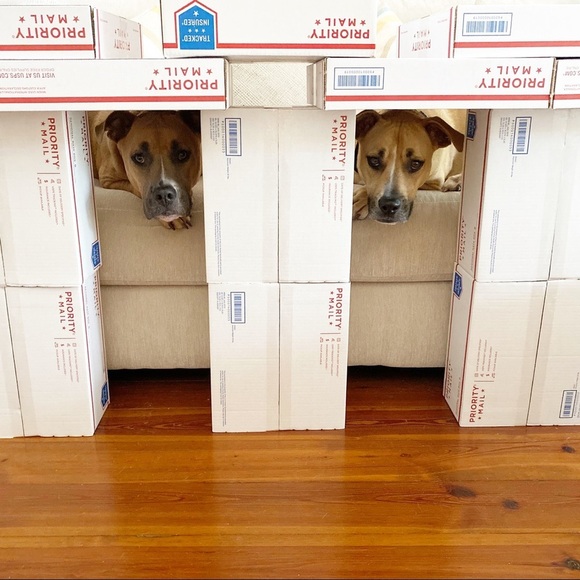 about me β’ queen b rocks! πππ - Picture 9 of 13